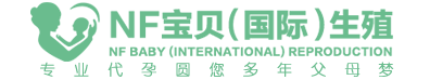 助北网